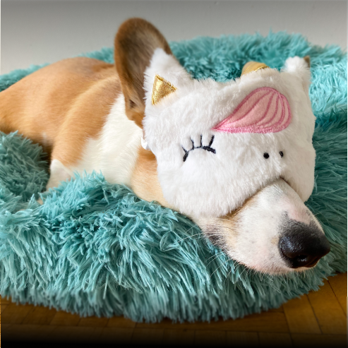 The Original Calming Bed helps to keep your dog warm and supported no matter what.